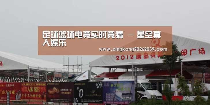 案例标题十(图1)