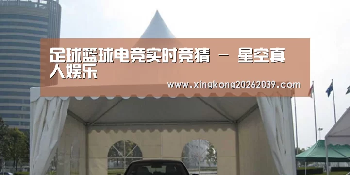 案例标题八