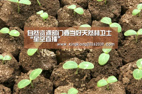 自然资源部门要当好天然林卫士“星空直播”(图1) 星空下载