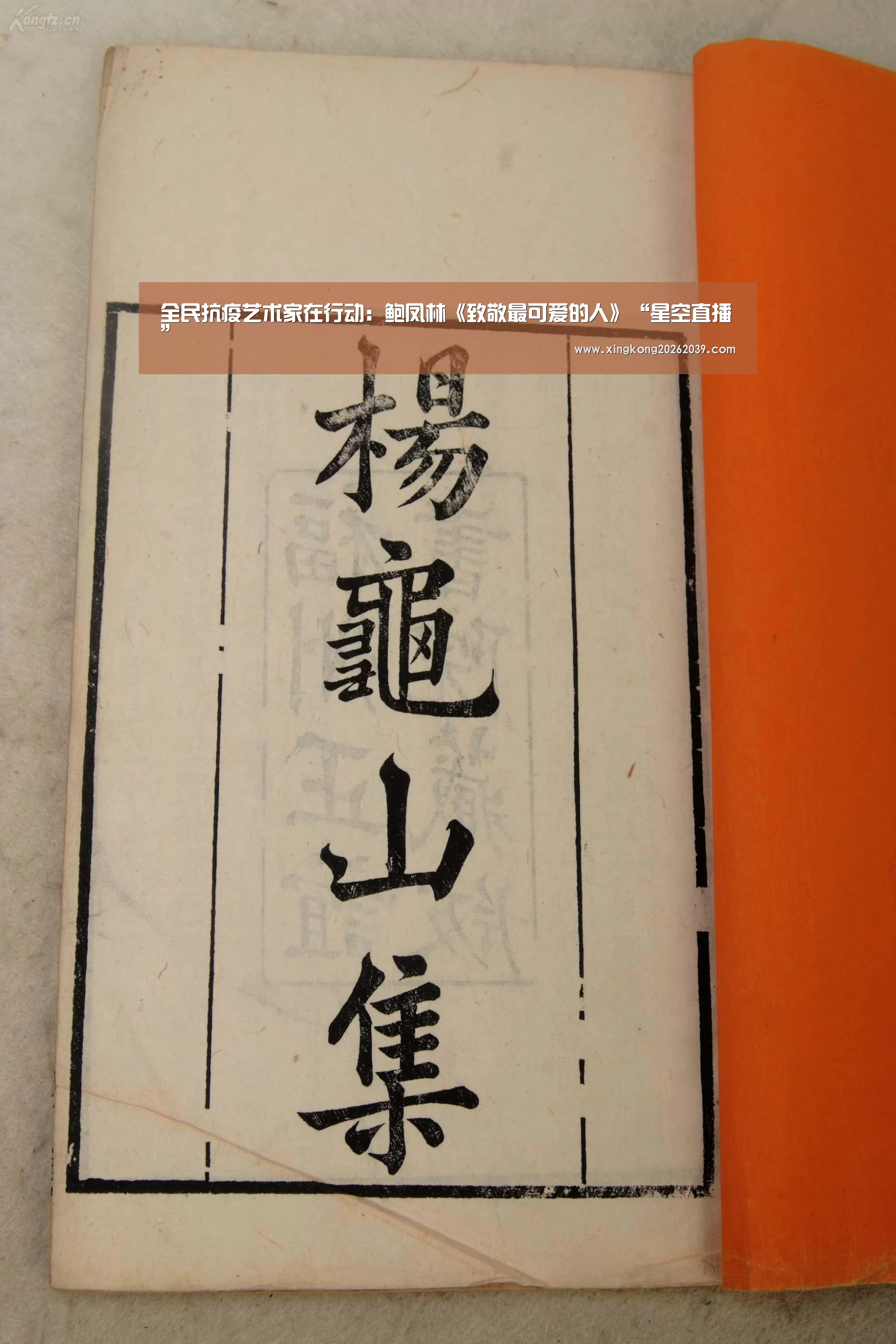 全民抗疫艺术家在行动:鲍凤林《致敬最可爱的人》“星空直播”