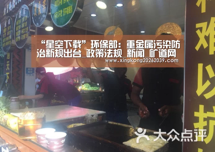 “星空下载”环保部:重金属污染防治新规出台_政策法规_新闻_矿道网(图3) 星空官网